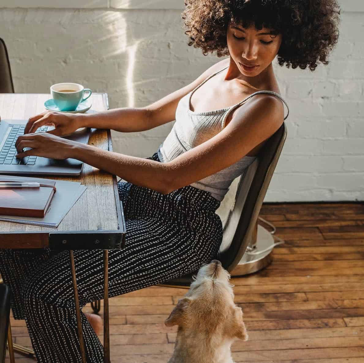 A photo of a woman staring at a dog while working on her laptop